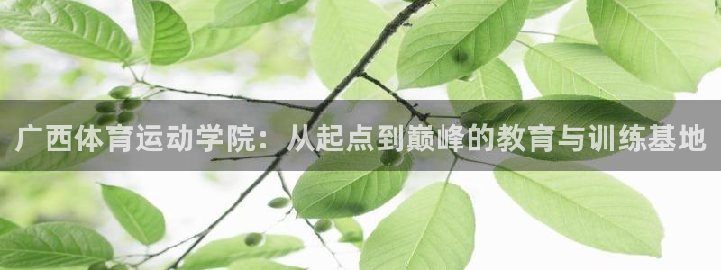 JJB竞技宝官方正版app新能源:广西体育运动学院:从起点到