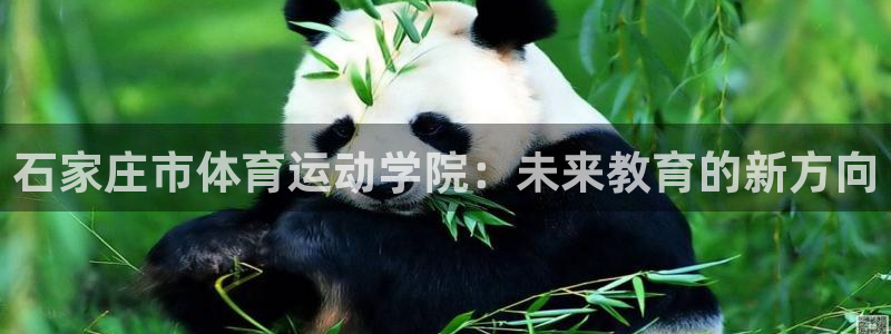 JJB竞技宝官网下载平台是正规平台吗安全吗:石家庄市体育运动